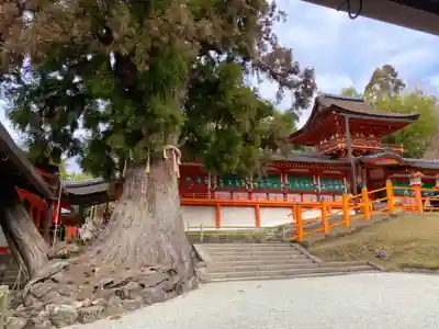 春日大社(奈良県)