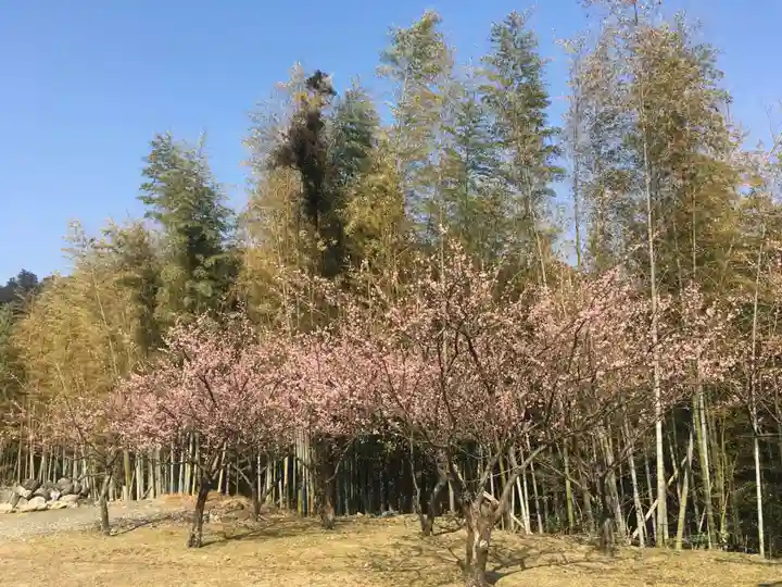 青岸渡寺の自然