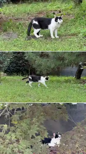 森町稲荷神社(北海道)