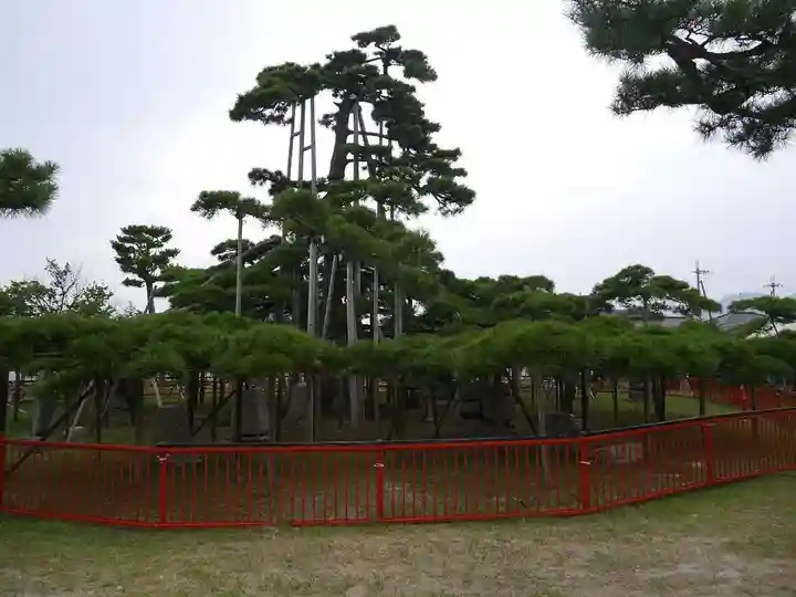 唐崎神社のその他建物