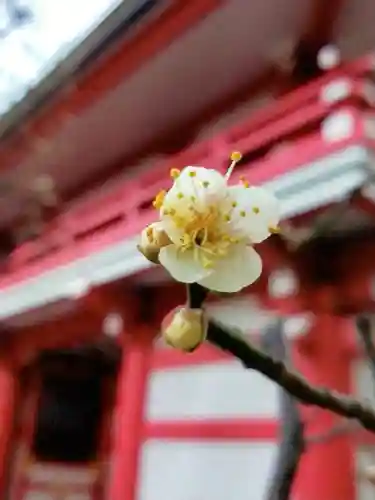 成子天神社(東京都)