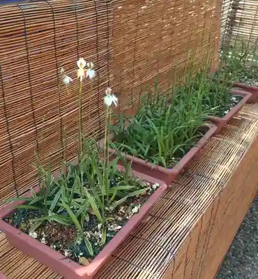 坐摩神社(大阪府)