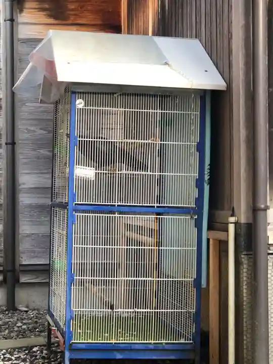 奥田神社の動物