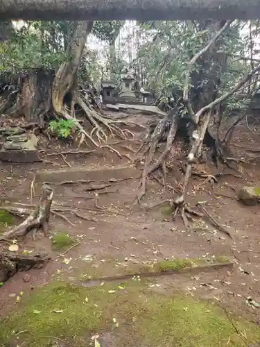 豊受皇大神宮の自然