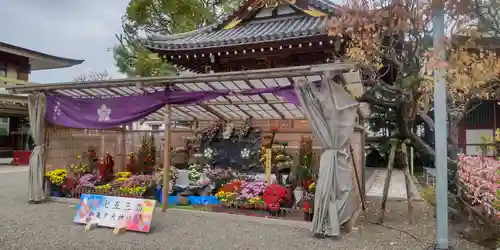 亀戸天神社(東京都)