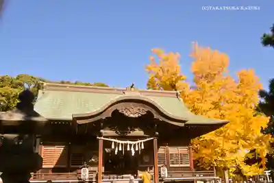 葛飾八幡宮の本殿・本堂