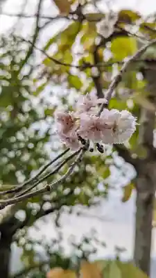 法雲寺(京都府)