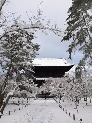 南禅寺の山門