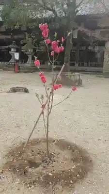 今宮神社(京都府)