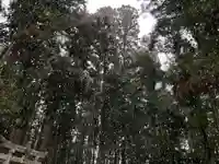 大宮温泉神社(栃木県)