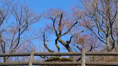 日蓮宗　宏善寺(東京都)