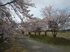 筑波神社跡の自然