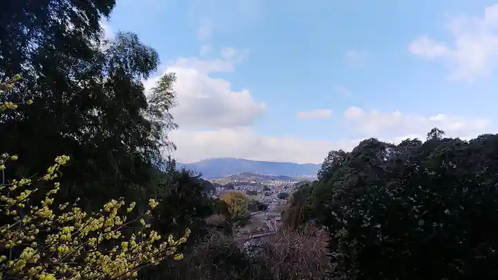 岡寺(龍蓋寺)の景色