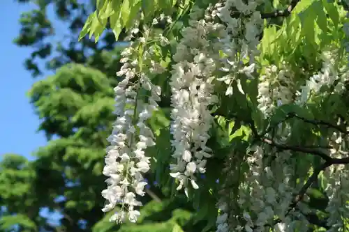 玉敷神社(埼玉県)