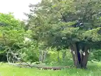 釧路一之宮 厳島神社の自然