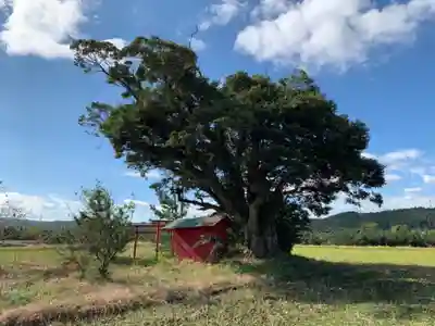 稲荷神社の景色