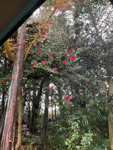 尻冷し地蔵(愛知県)