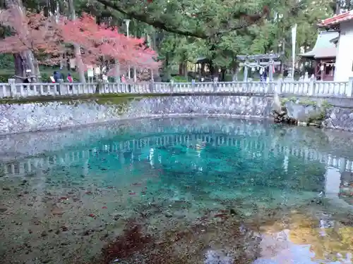 厳島神社の庭園