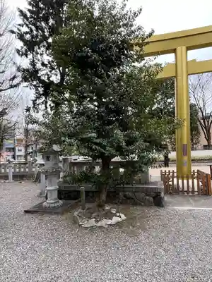 金神社(岐阜県)