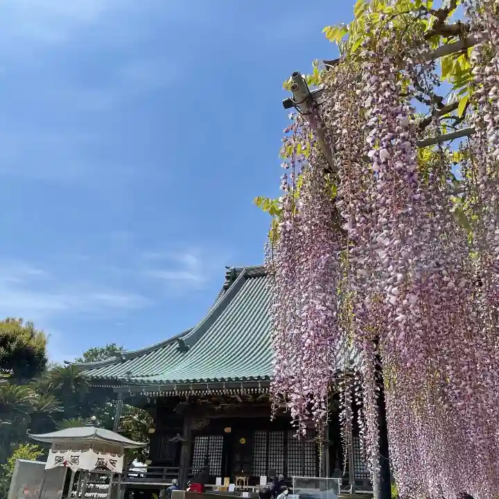 妙福寺の本殿・本堂