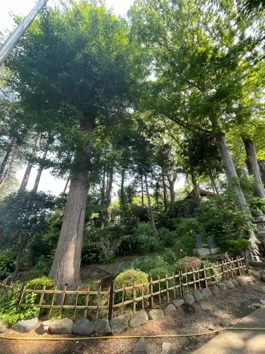 弥生神社の{uncategorized: "未分類", other: "その他", undefined: "問題あり", building: "その他建物", grave: "お墓", sacred_gate: "鳥居", guardian: "狛犬", statue: "像", buddha: "仏像", history: "歴史", nature: "自然", garden: "庭園", animal: "動物", pagoda: "塔", temizu: "手水舎", mountain_gate: "山門・神門", sanctuary: "本殿・本堂", subordinate: "末社・摂社", art: "芸術", scenery: "景色", jizo: "地蔵", ema: "絵馬", goshuin: "御朱印", omikuji: "おみくじ", items: "授与品その他", amulet: "お守り", goshuincho: "御朱印帳", eats: "食事", festival: "お祭り", votive_dance: "神楽", shichigosan: "七五三参", wedding: "結婚式", experience: "体験その他", initially: "初詣", around: "周辺", anti_infection: "感染症対策"}
