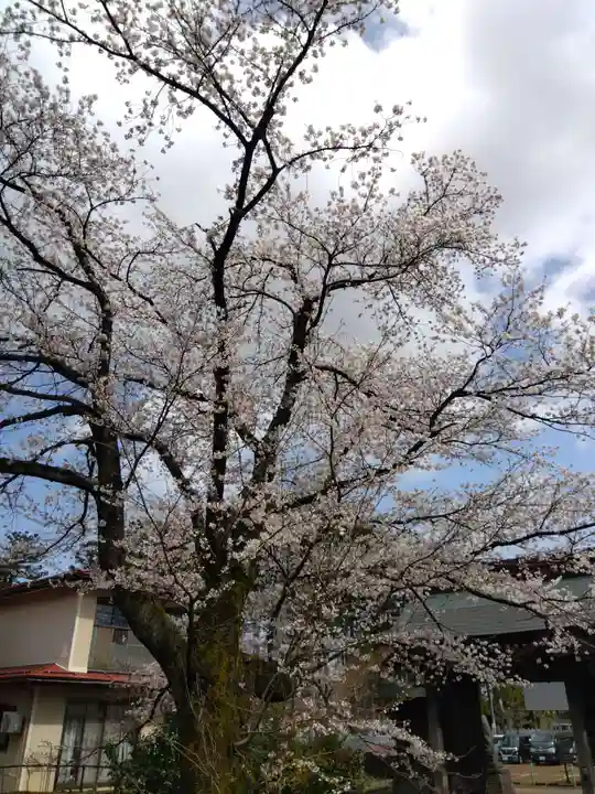 来迎寺(新潟県)