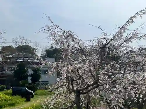 道成寺　奥の院観音堂(和歌山県)