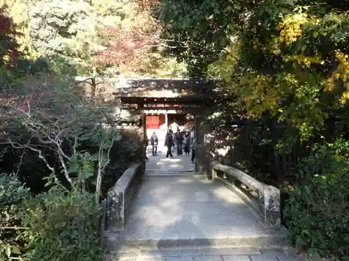 宇治上神社の山門・神門