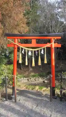 鷲宮神社(埼玉県)