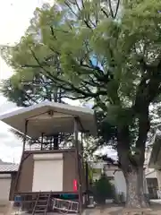 粟津天満神社の建物その他