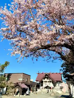 苗穂神社(北海道)