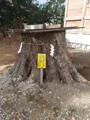 栗原神社(神奈川県)