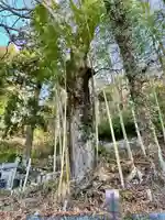 無辺寺(山梨県)