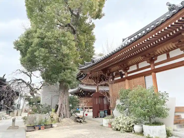 法楽寺(大阪府)