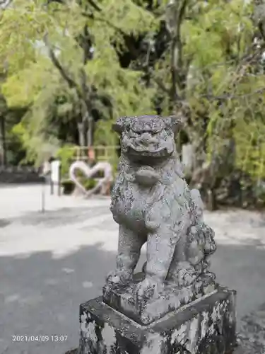 伊豆山神社の狛犬