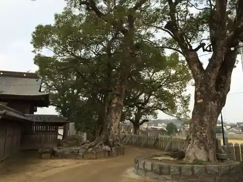 春日神社(福岡県)