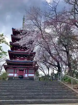 本土寺(千葉県)