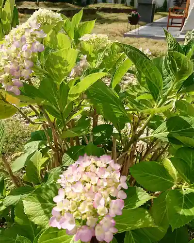 寿量山　速成寺の自然