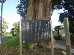 香取神社の自然