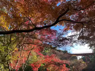 神應寺(京都府)
