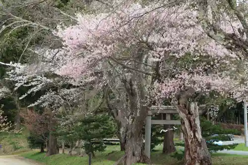 白幡八幡神社の鳥居