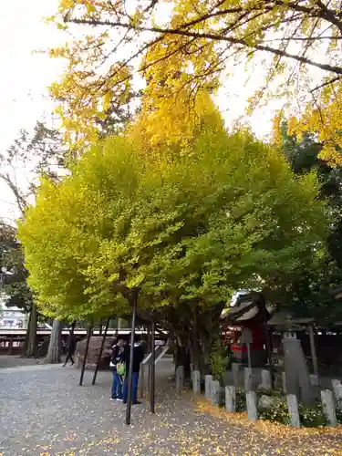 秩父神社の自然