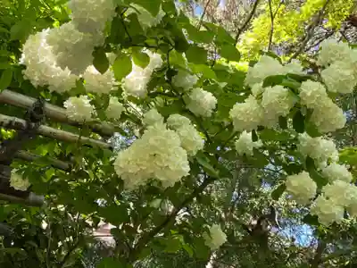 円通院(宮城県)