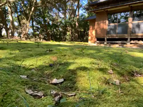 八幡神社の自然