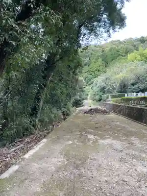 瑞厳寺(京都府)