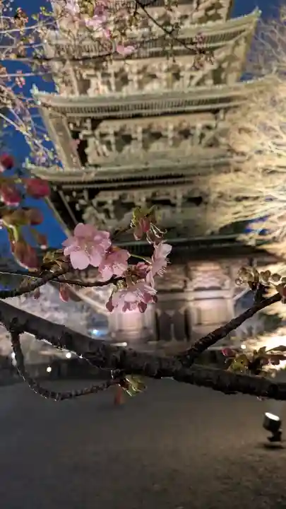 東寺(教王護国寺)(京都府)