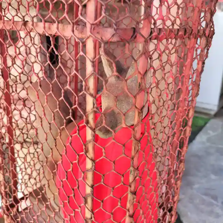 戸越伏見稲荷神社(東京都)