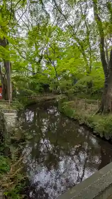 賀茂御祖神社（下鴨神社）の庭園