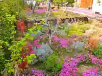 寿量山 速成寺の自然