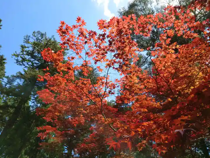天台宗 五大山 白毫寺(兵庫県)